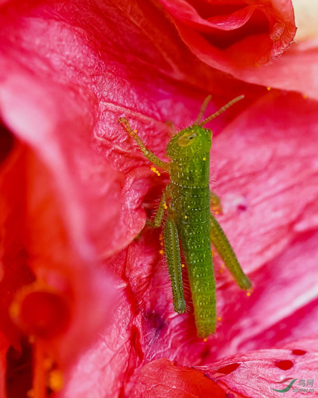 DSC01041.jpg