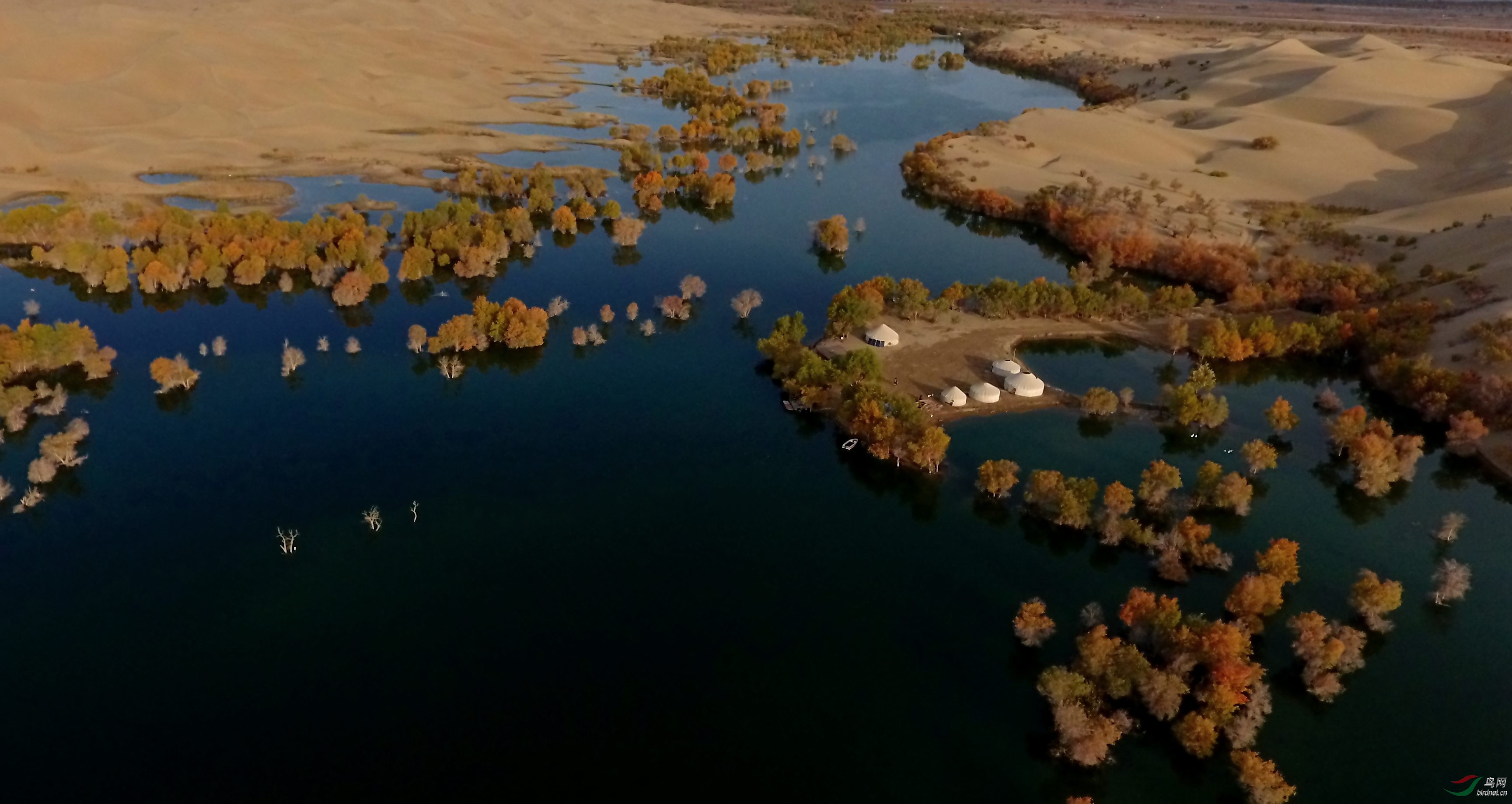 DJI_0008.JPG