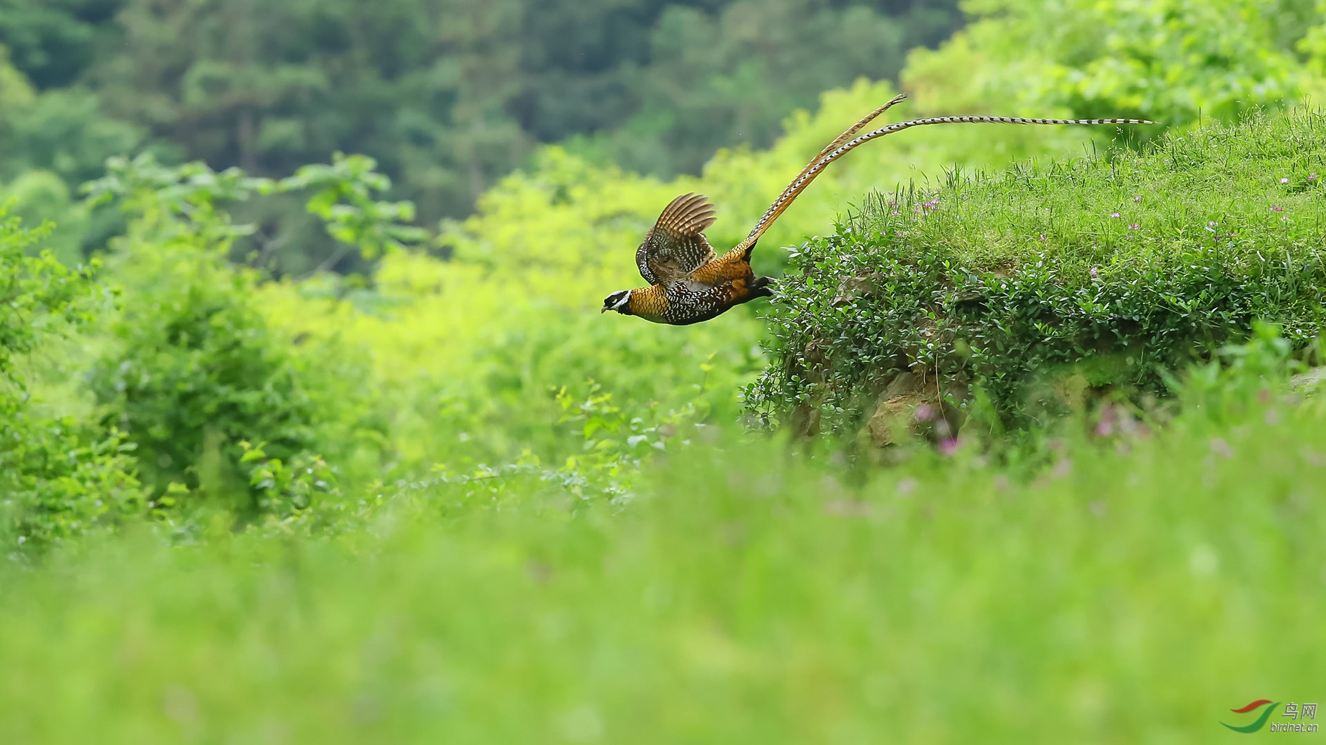 AF7V1655  ��.jpg