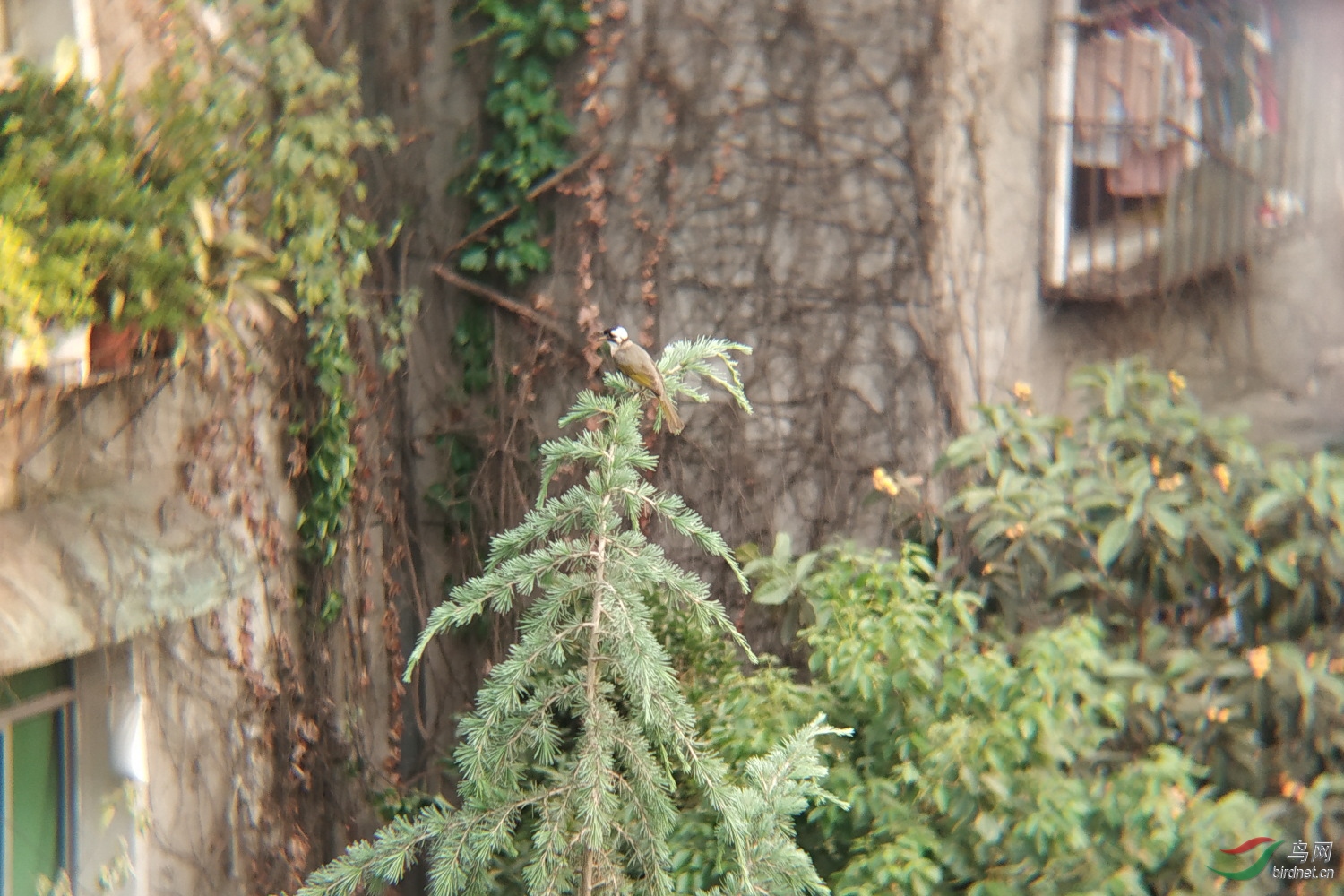 ΢��ͼƬ_20200504201547-2.JPG