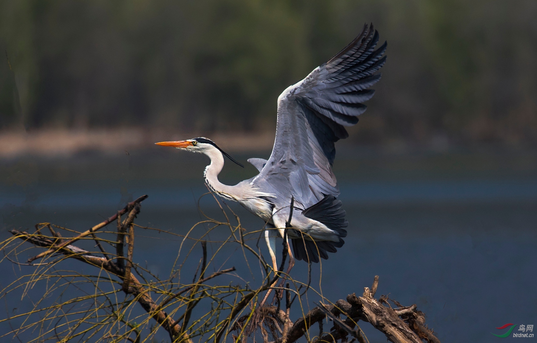 CI5A3779 - ���� - ����.jpg