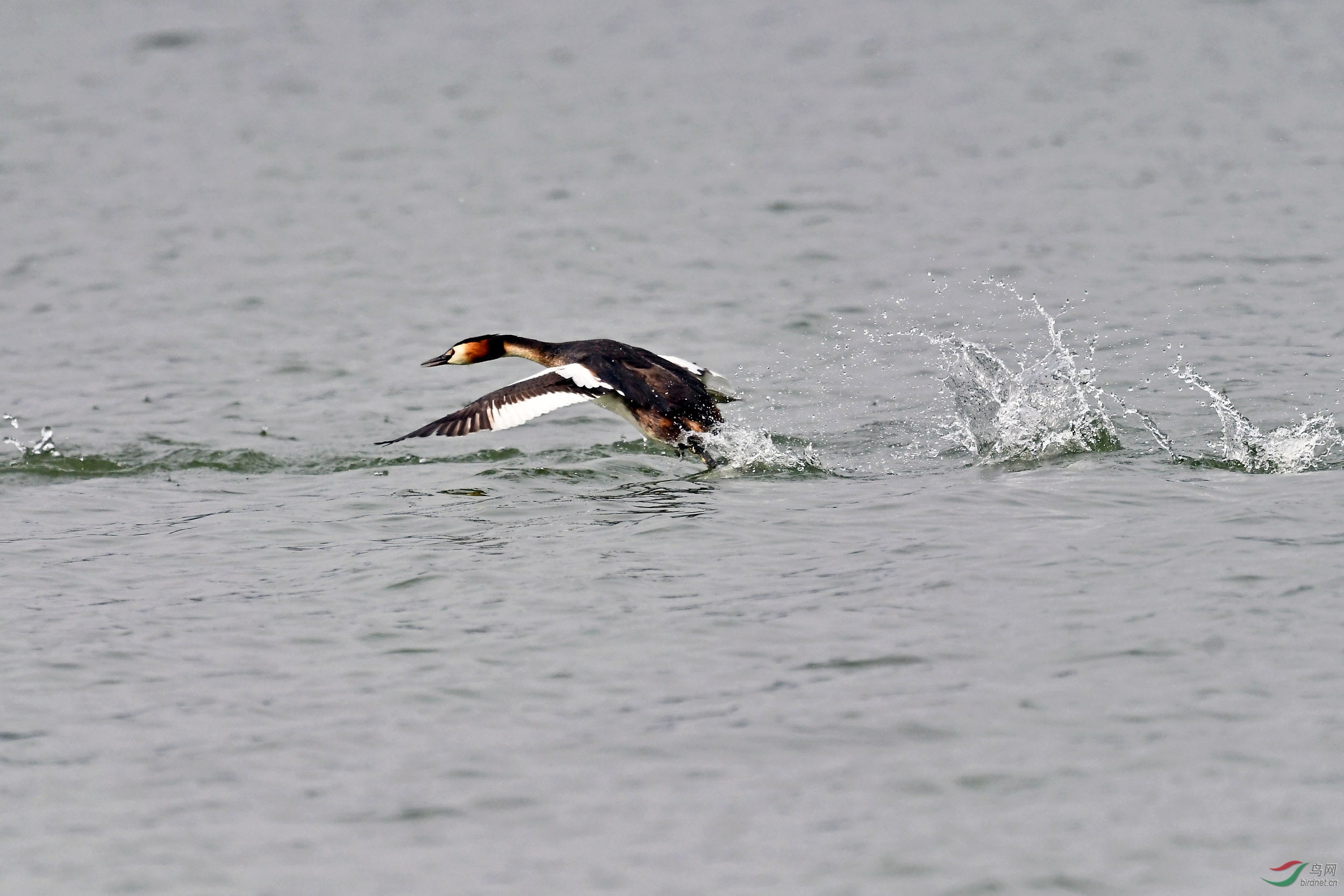 DSC_3014.jpg