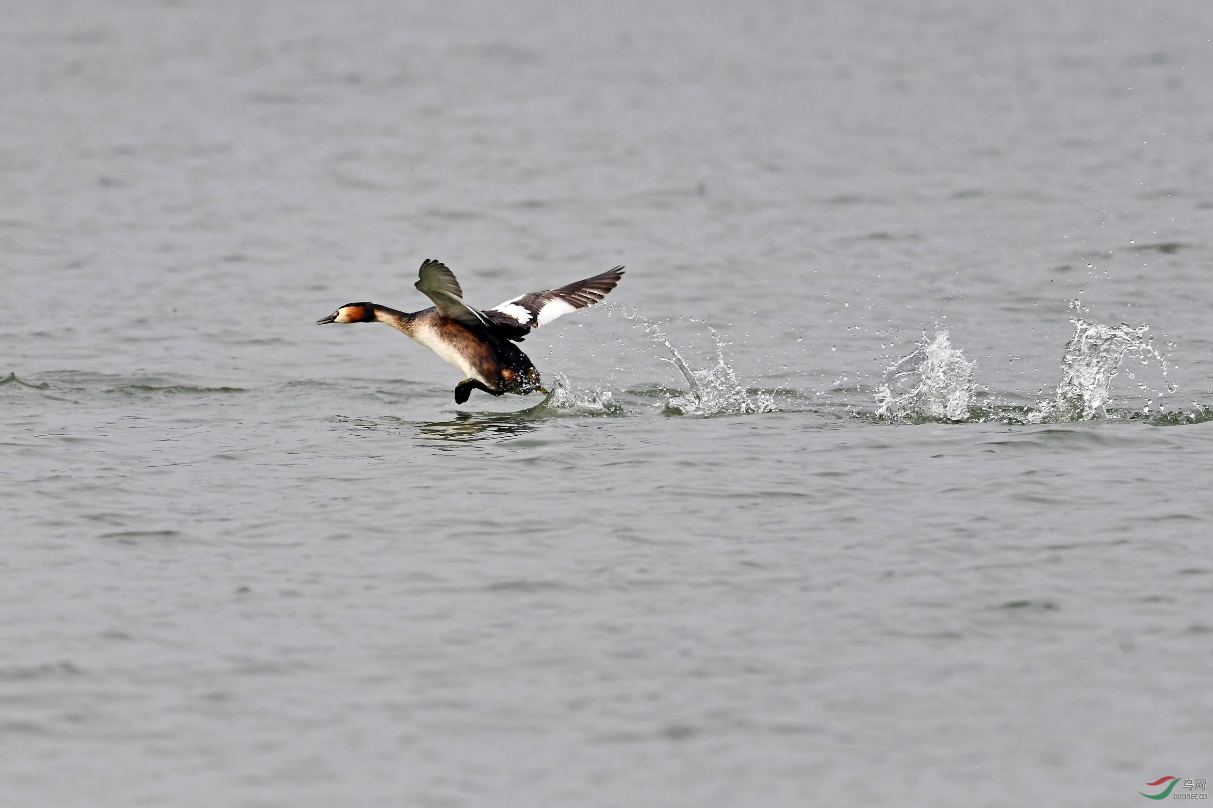 DSC_3027.jpg