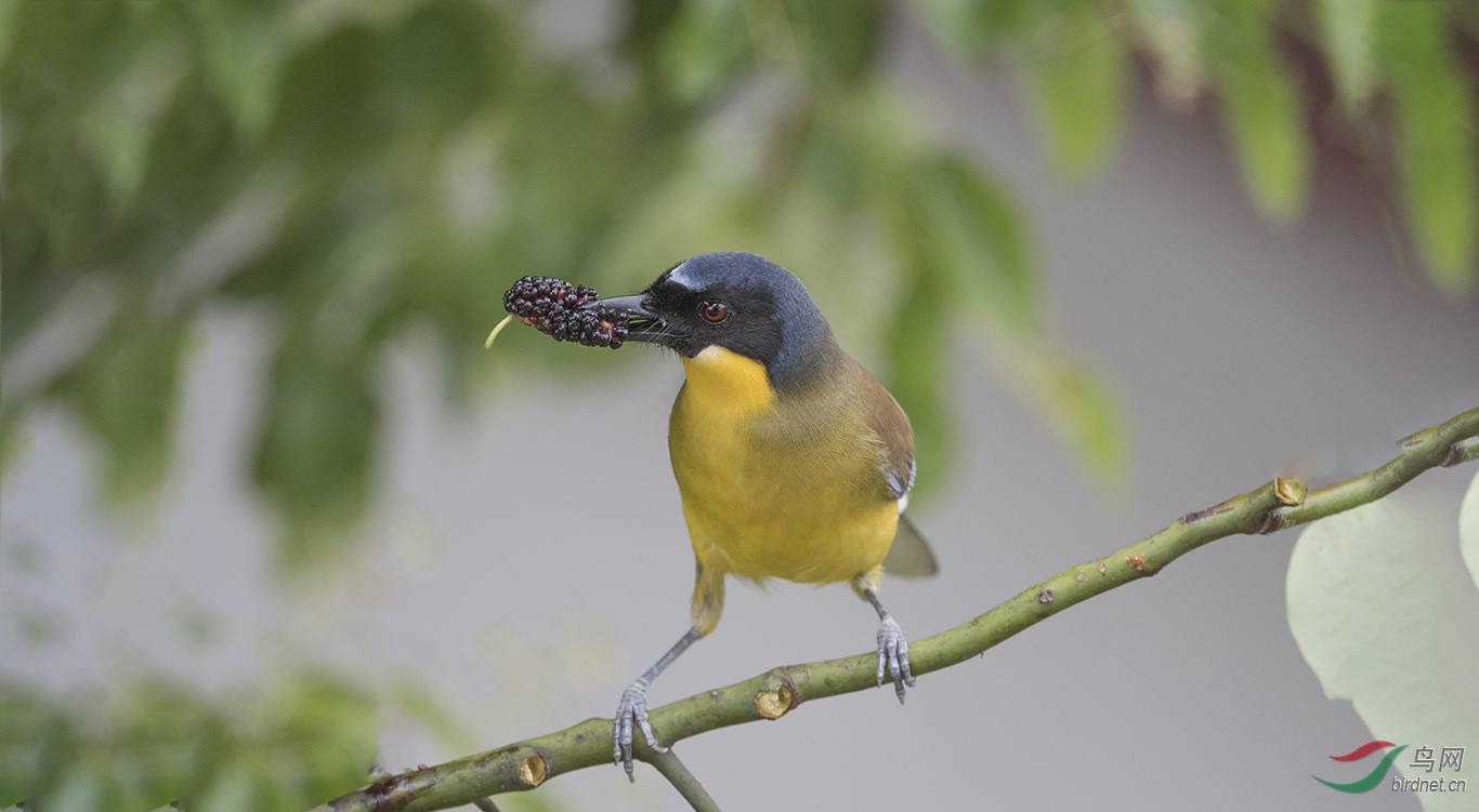 DSC_8939.jpg