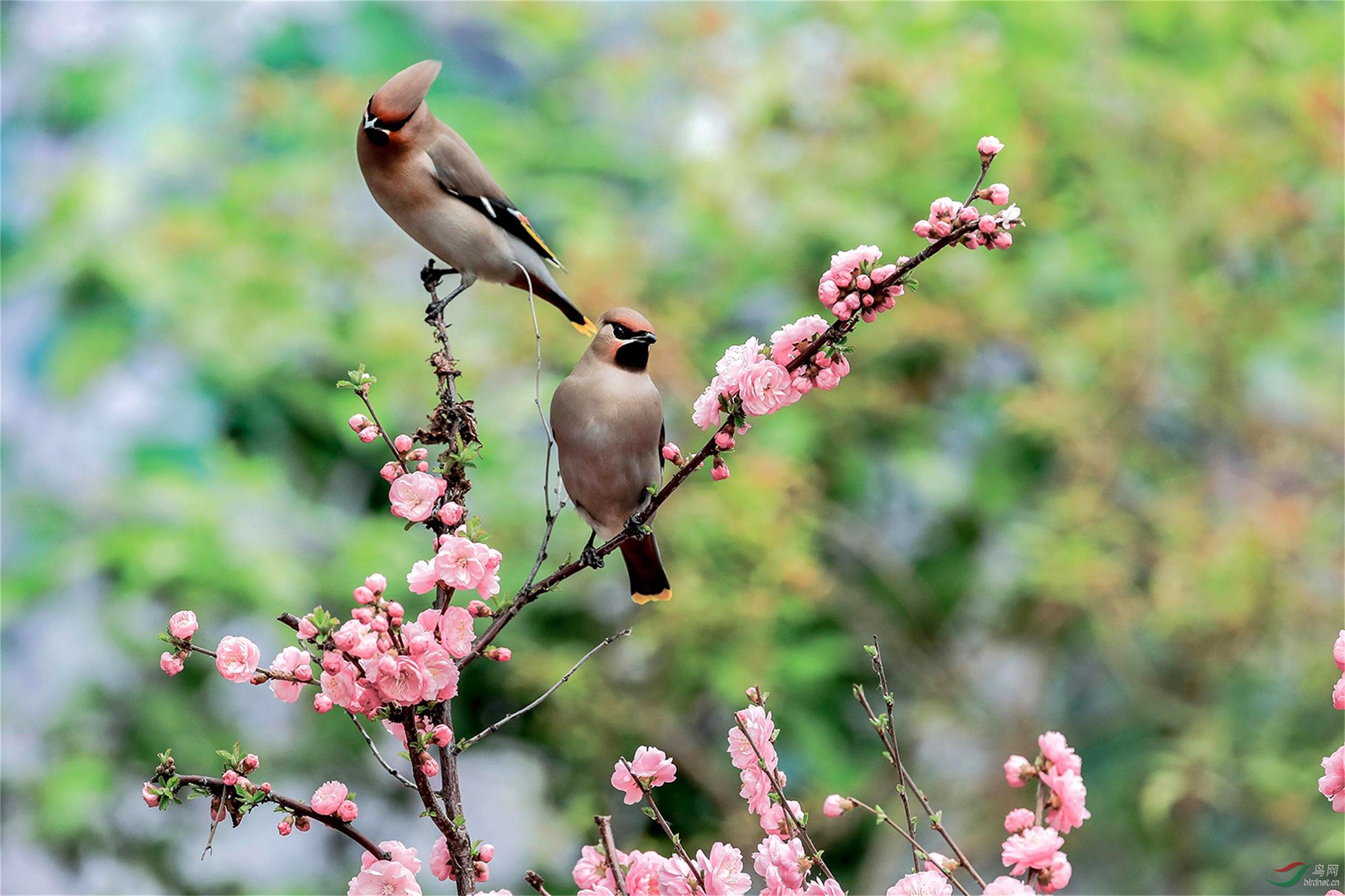 _70I7142=0 ����(1).jpg