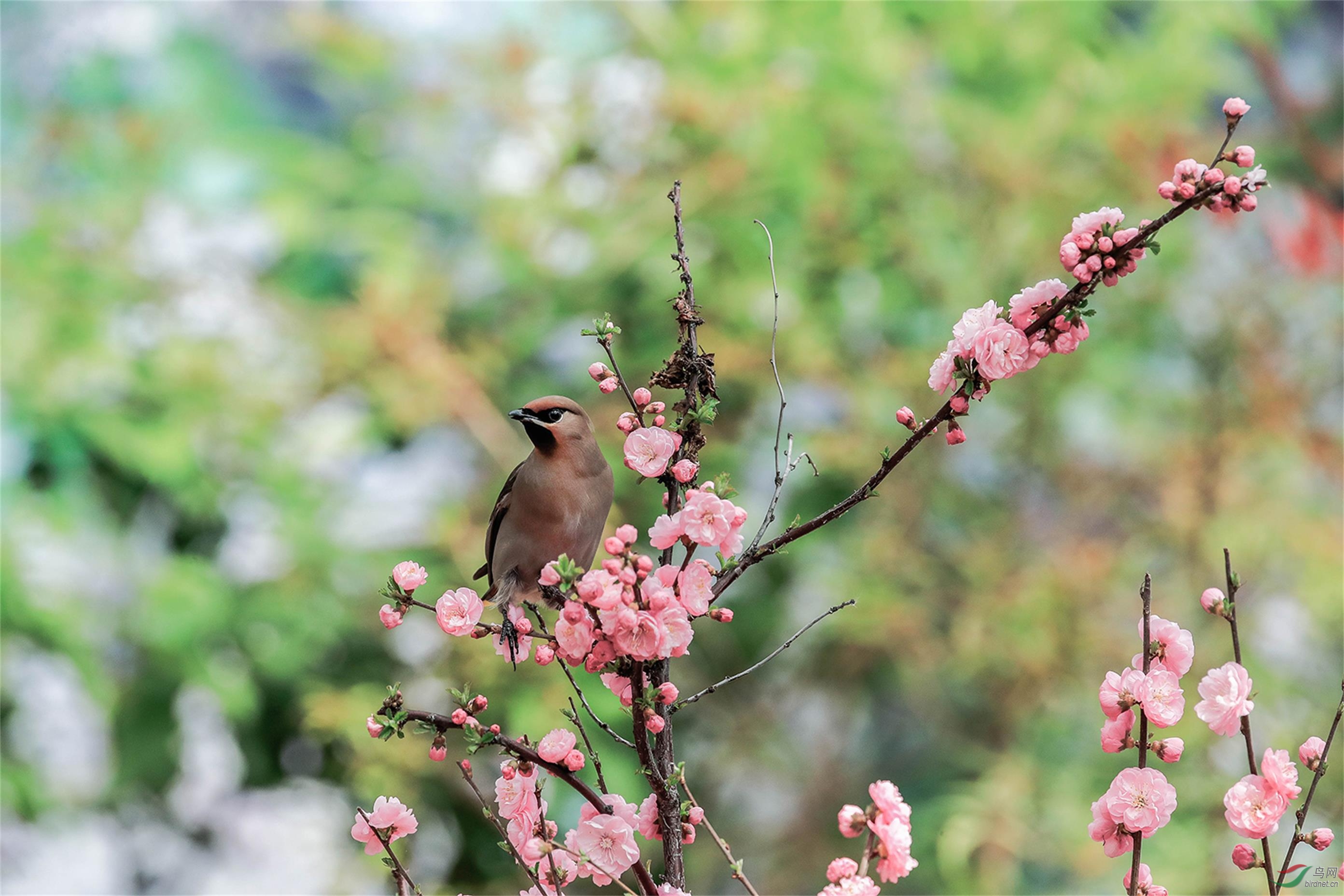 _70I7173 ����(1).jpg