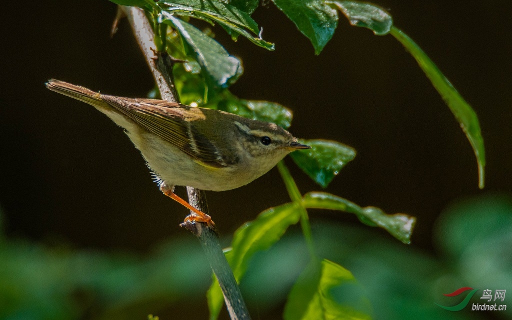 DSC_8164.jpg