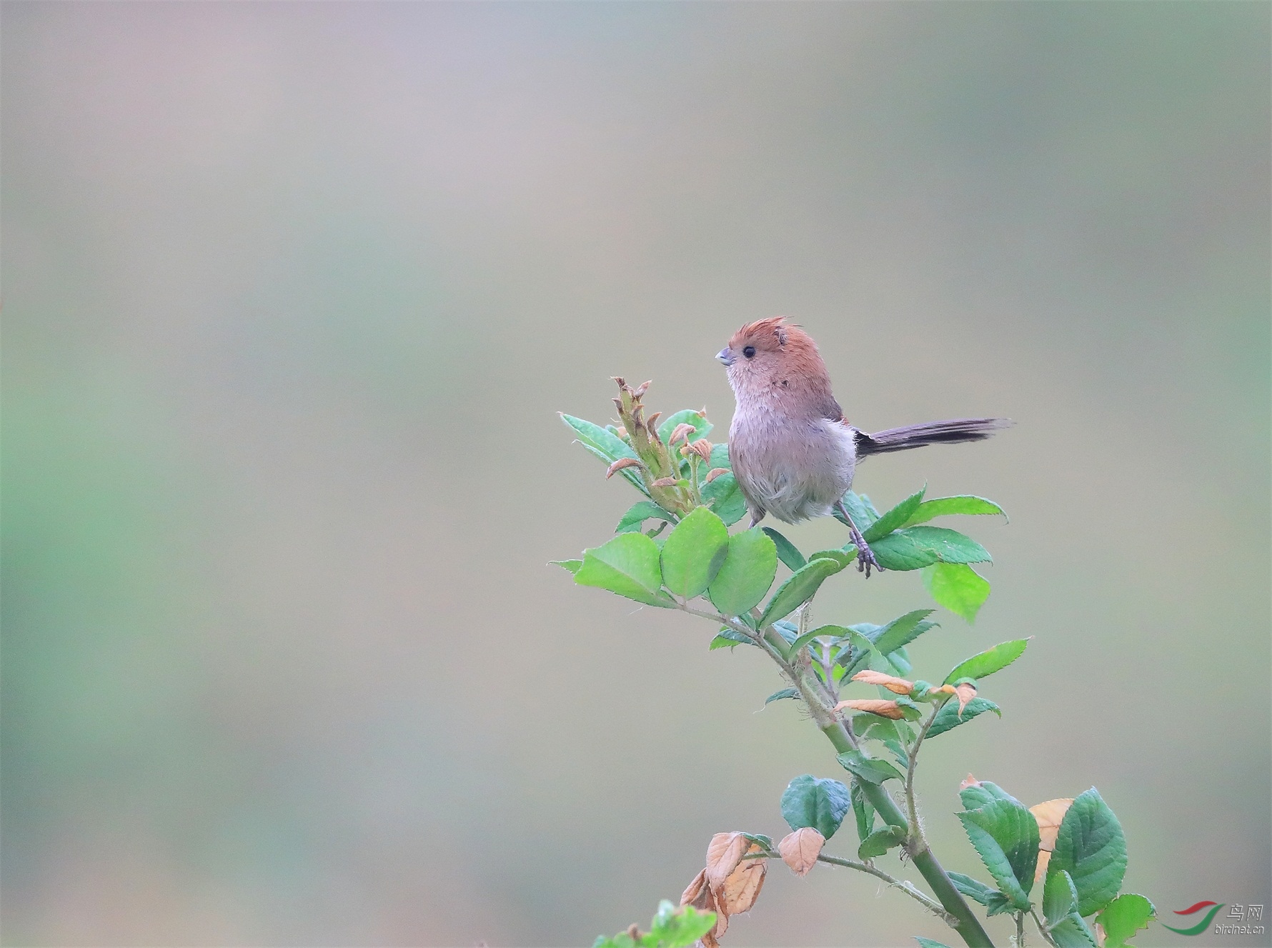 3 - ����.JPG