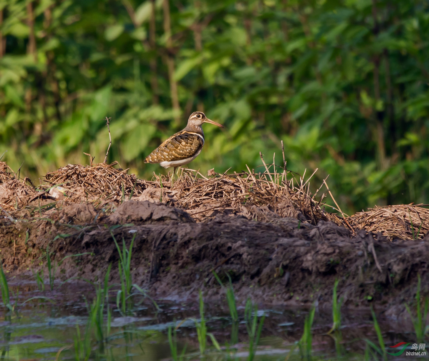 DSC_3448.jpg