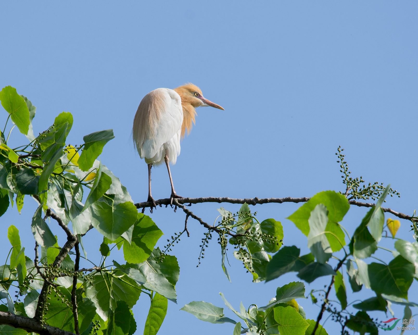 DSC_2982.jpg