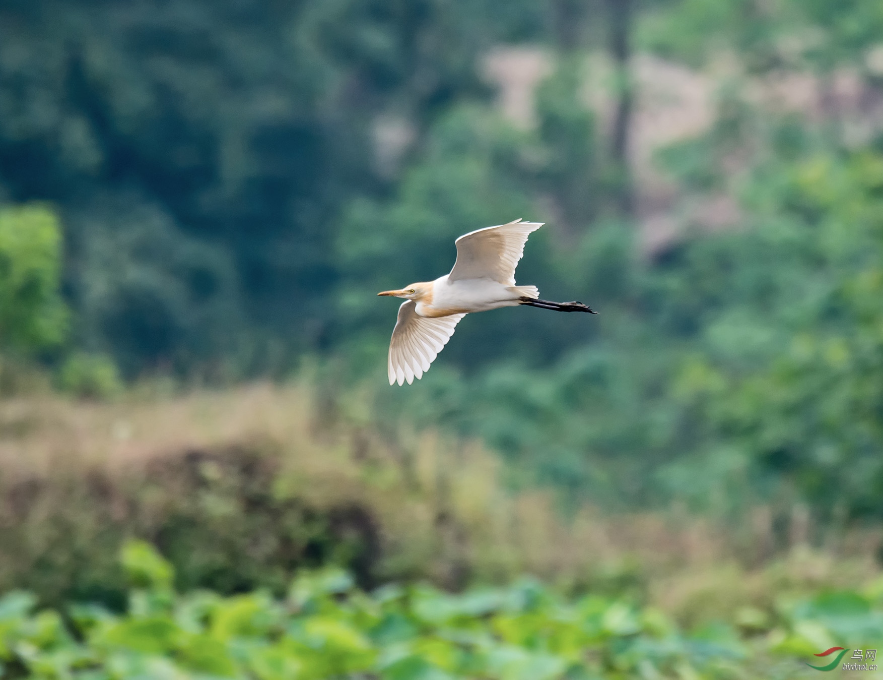 DSC_3732.jpg