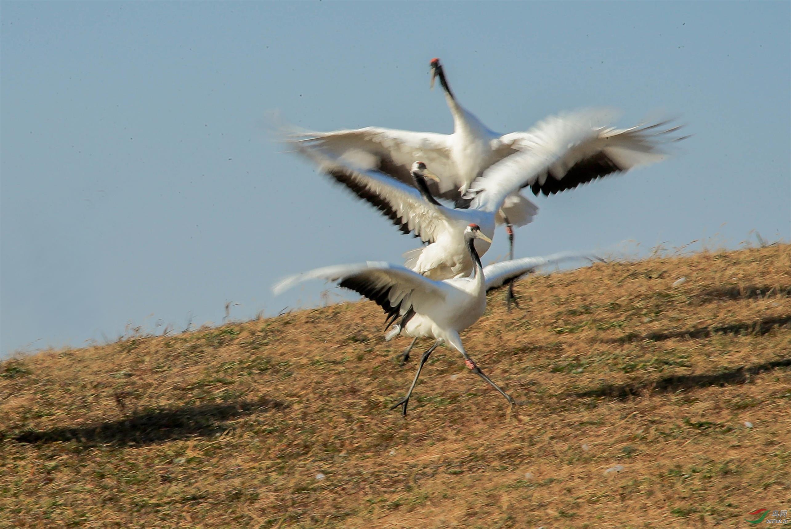 06  ��������          �޴���     13763512018.jpg