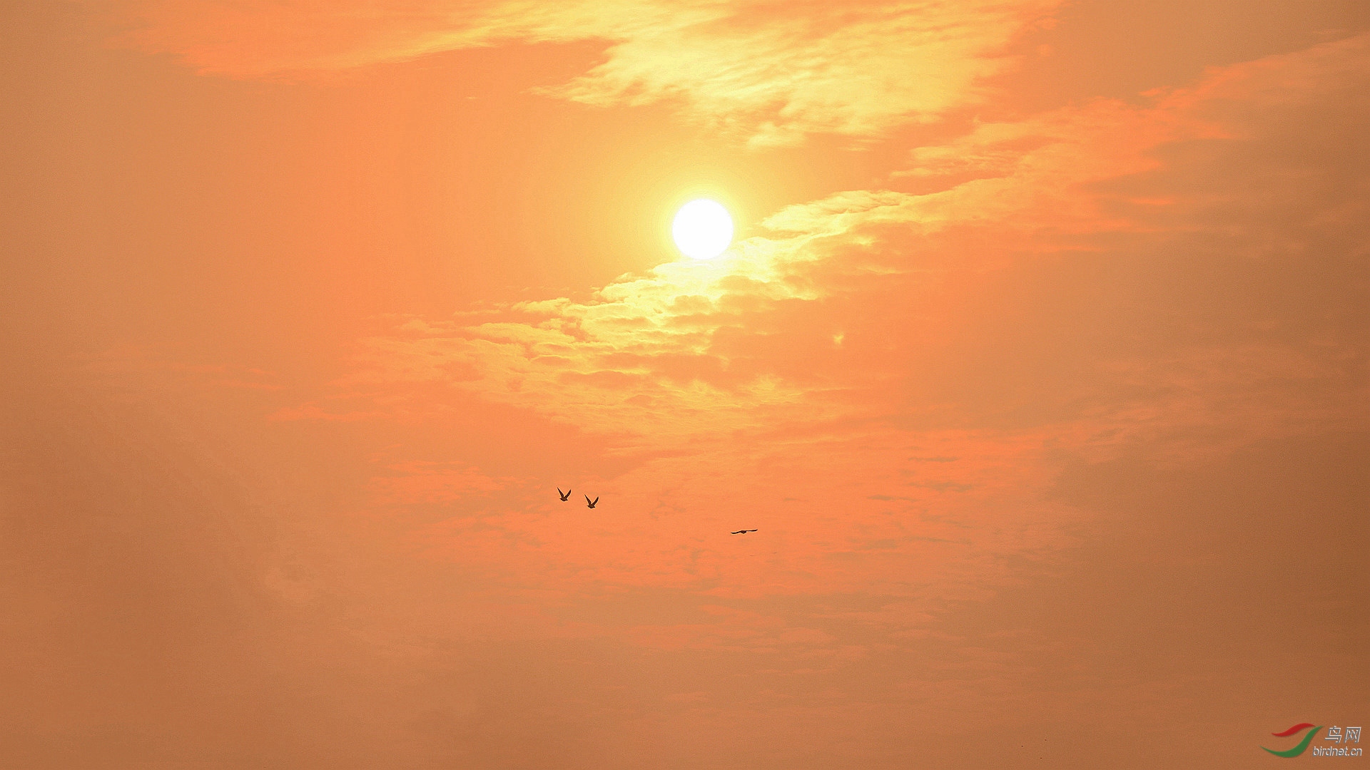 DSC_5263 �����Ϸɣ�����_���� (2)_����.jpg