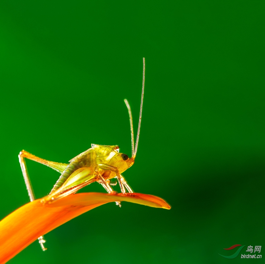 4H9A7228A_����B.jpg