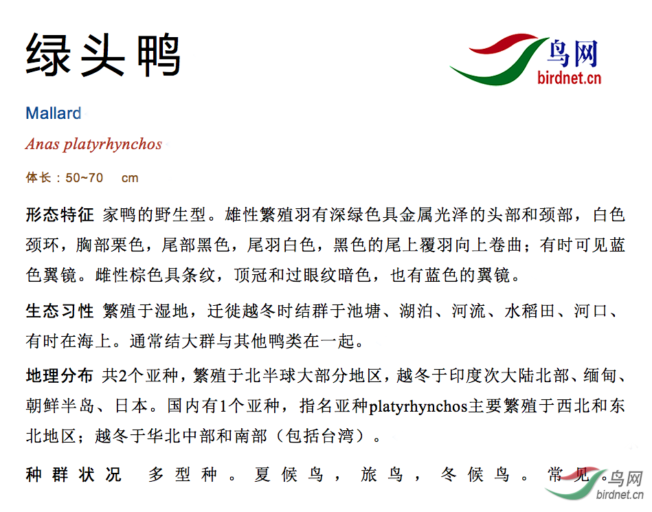 DEB91CD2-52A0-4069-9668-84A2FF63F4AD.png