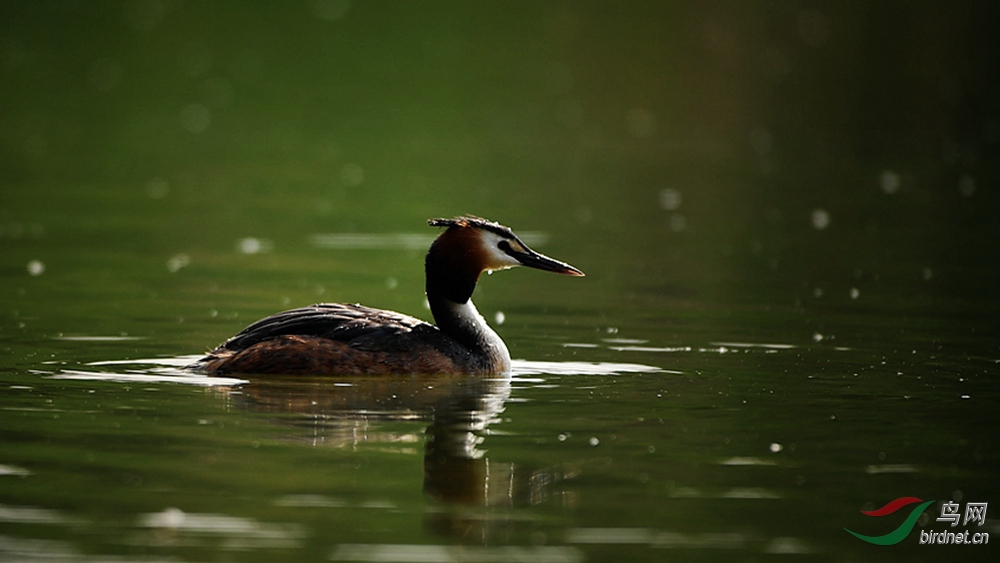 D5A_2535-1.jpg