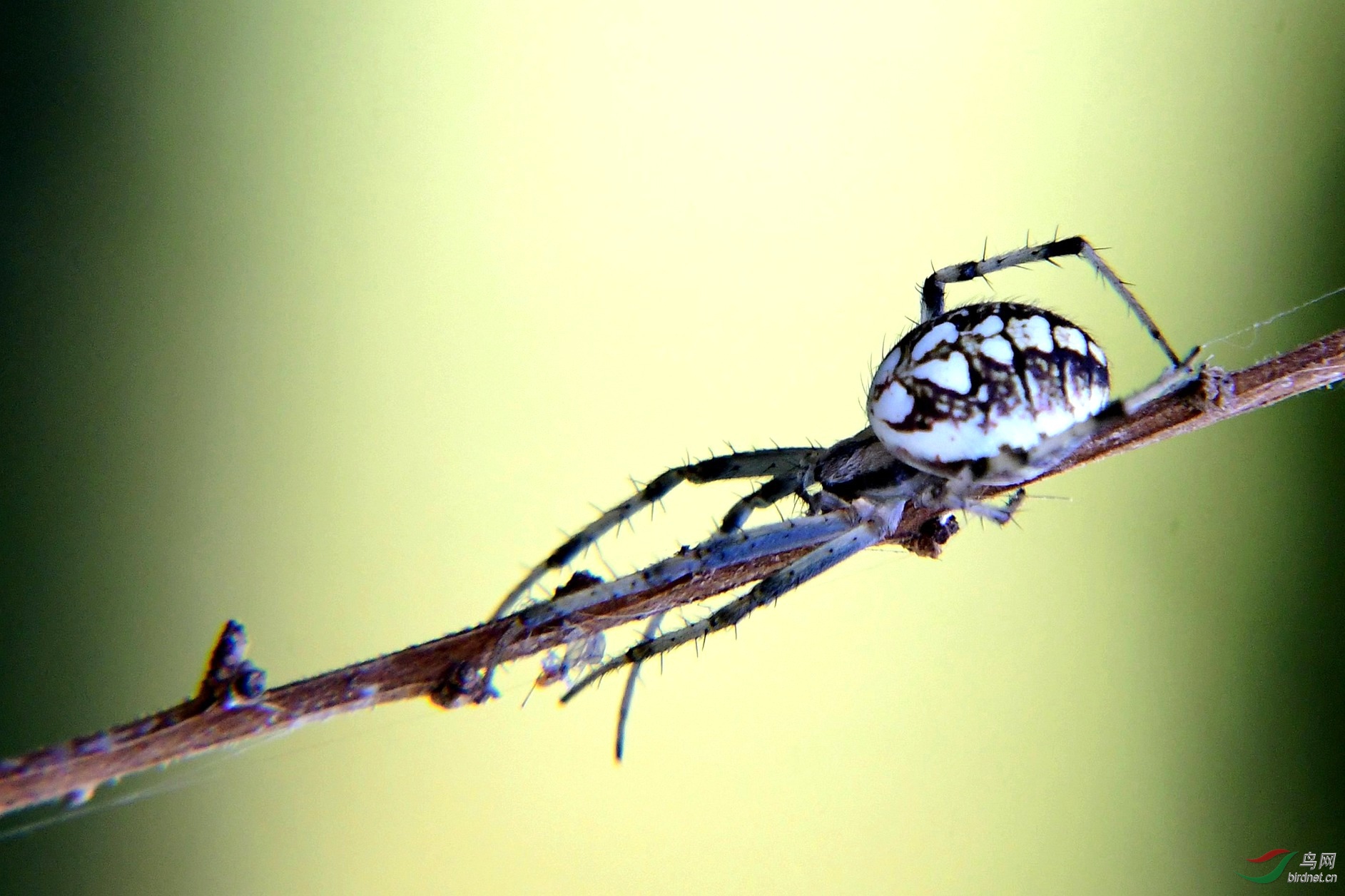 ���������� 827.JPG