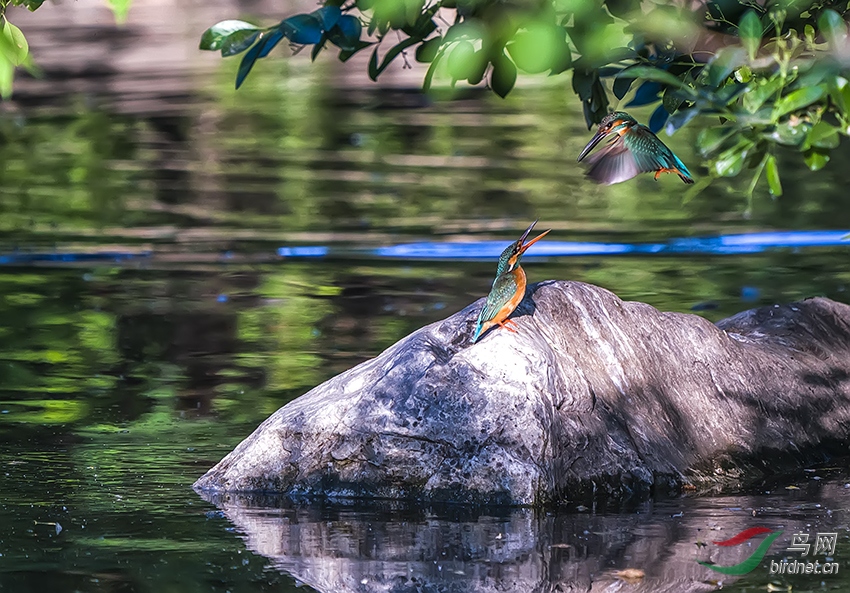 _DSC9831s.jpg