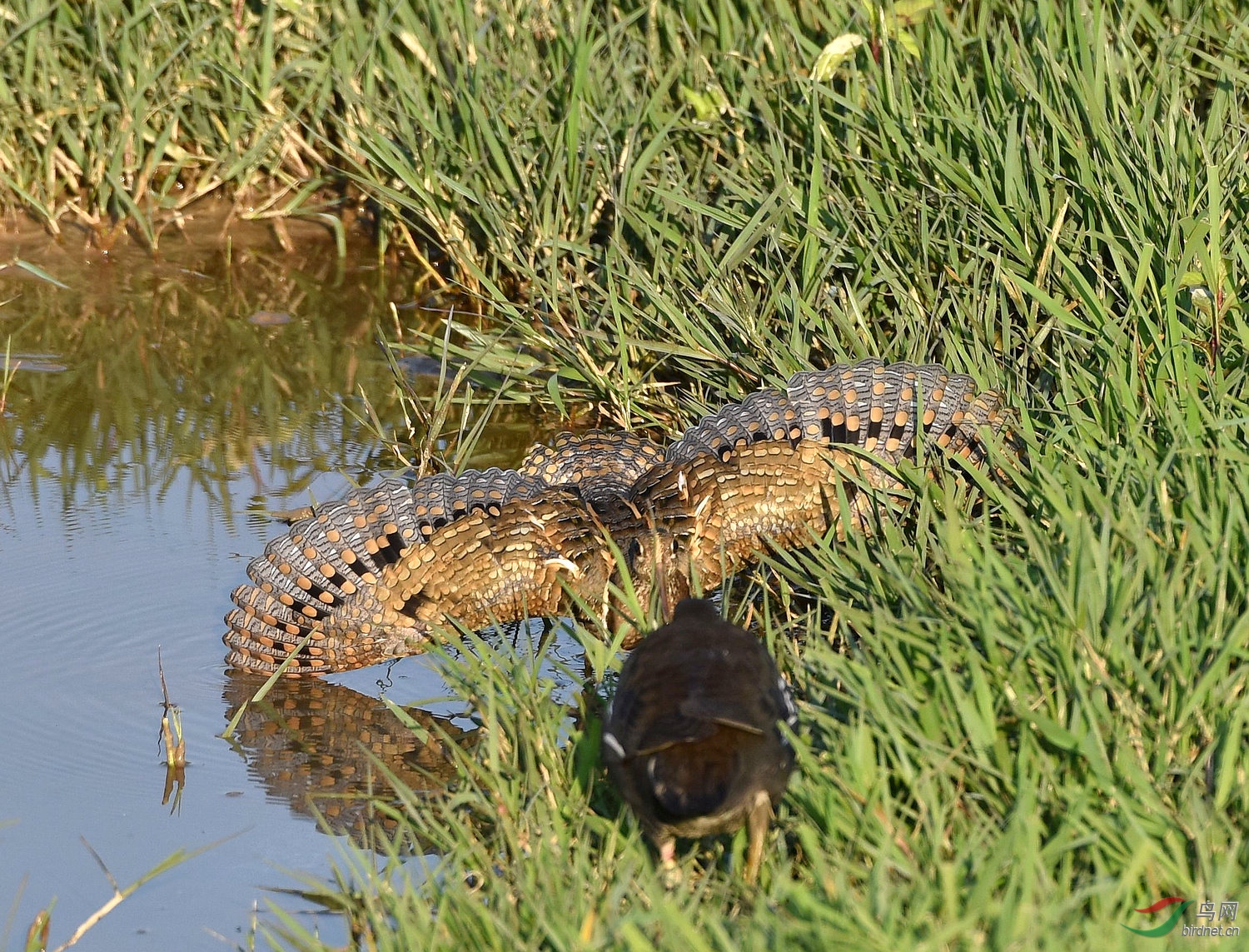 D8I_3595.jpg