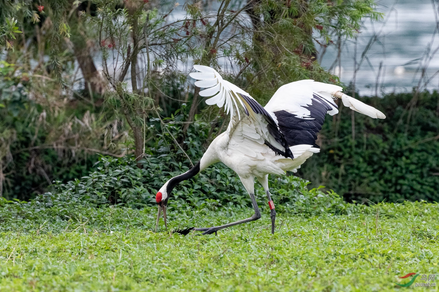 IMG_9010_DxO.jpg