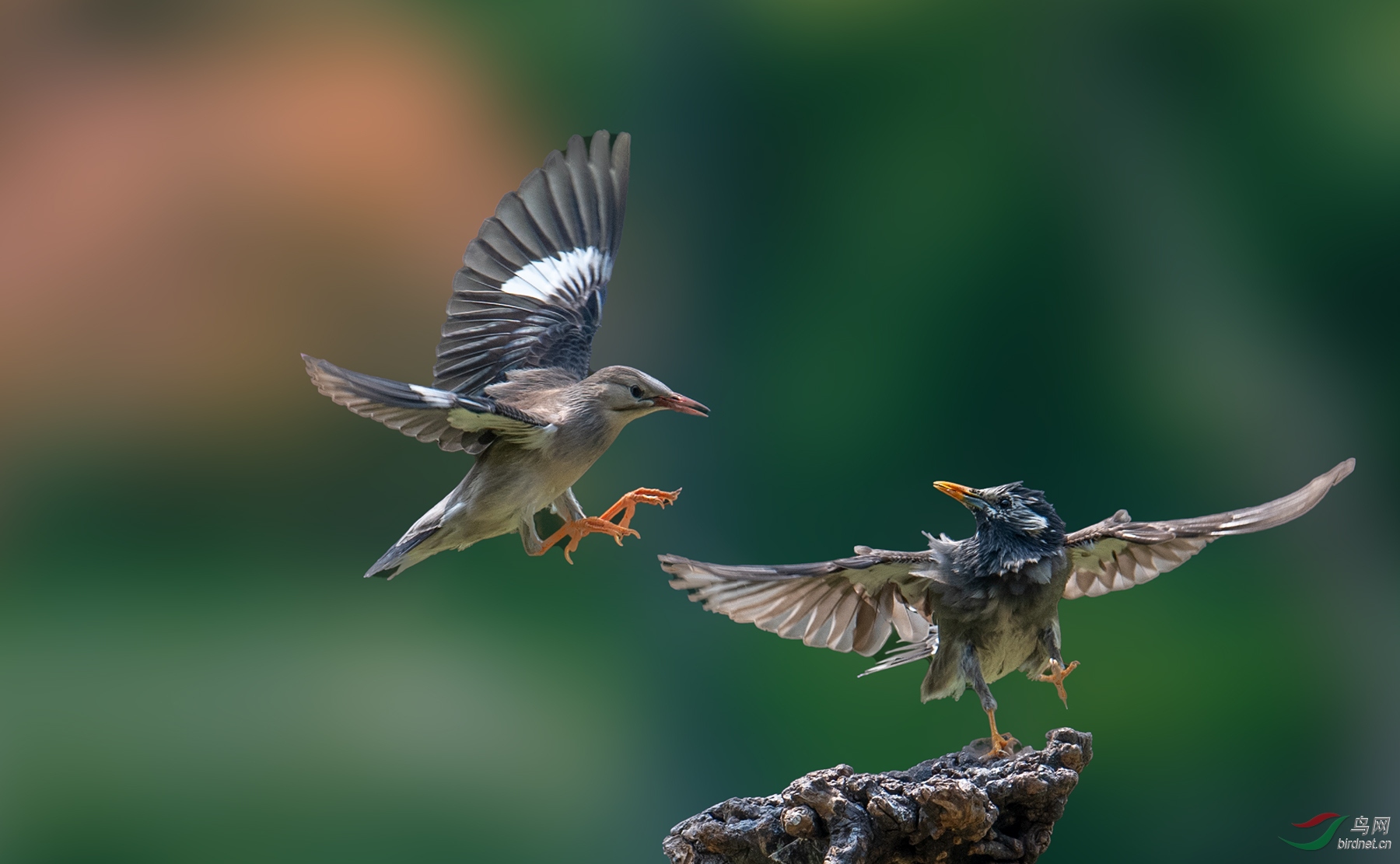 一夫当关 万夫莫开