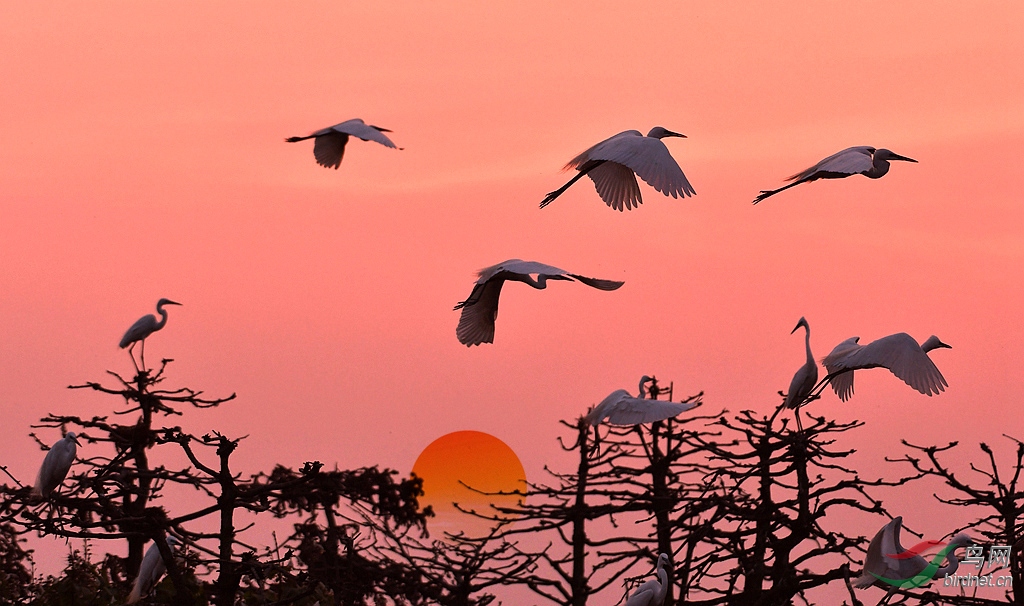 Ϧ������