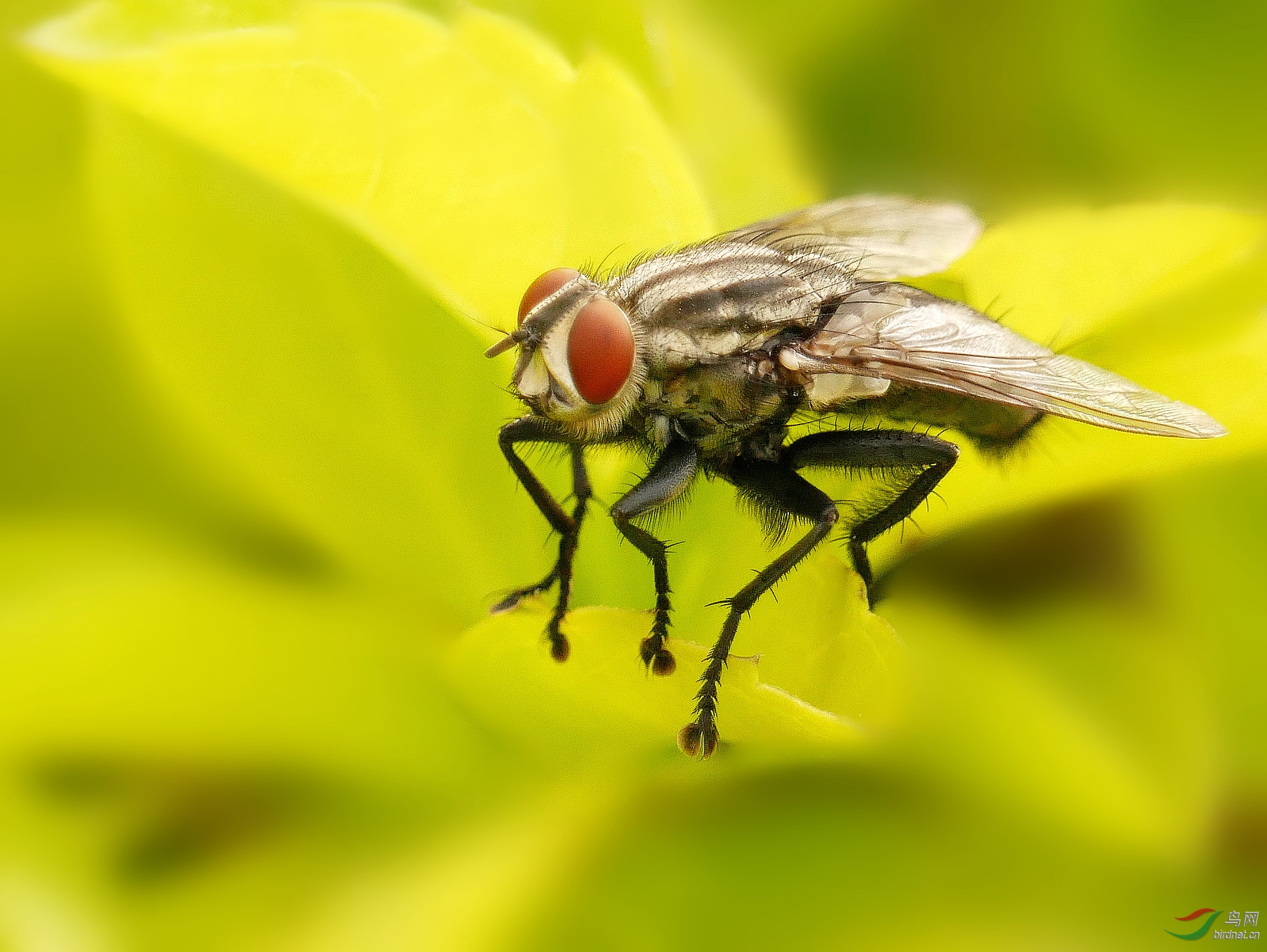 202034.��ƽ�����ֳ���ʵ