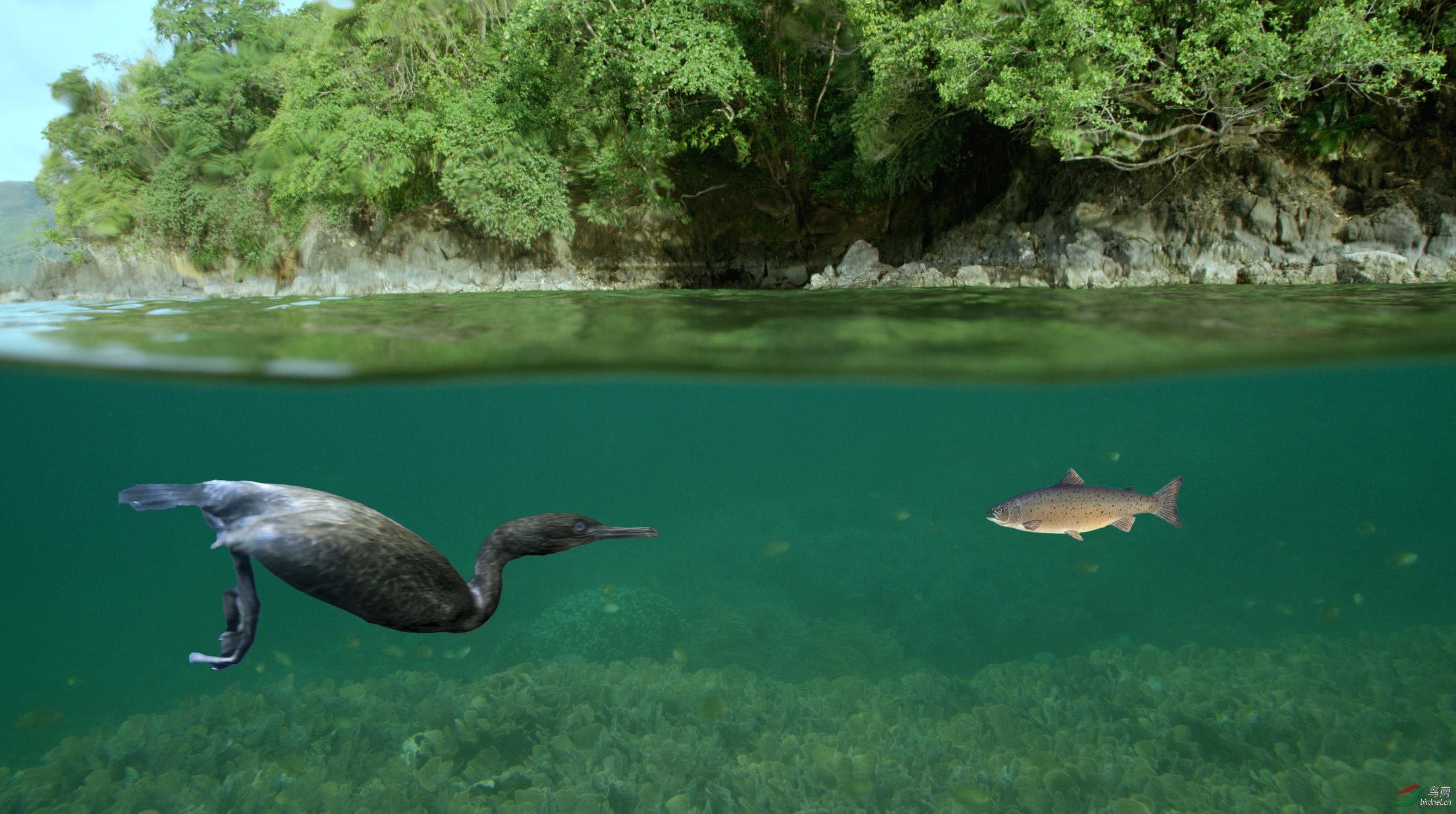 ͻϮǰ��ƽ�� 500k.jpg