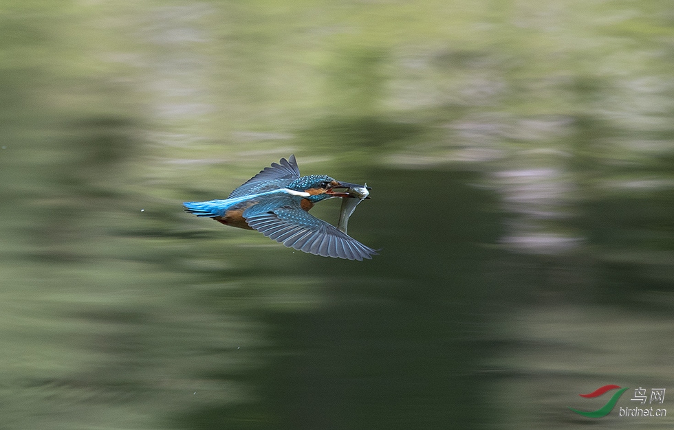 DSC_6802--1����.jpg