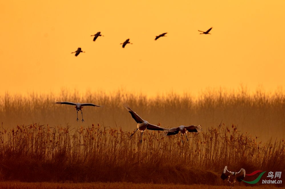 _DSC7756 - ����.jpg