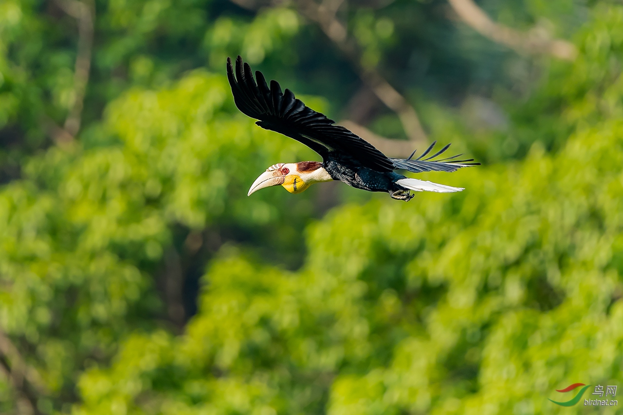 DSC_4435.jpg