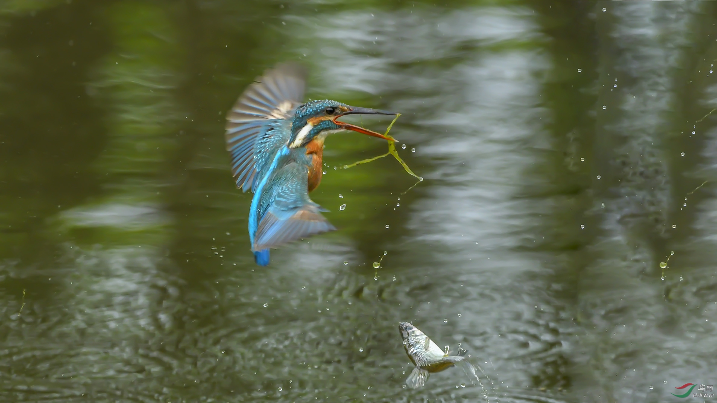 DSC_0523-2.jpg