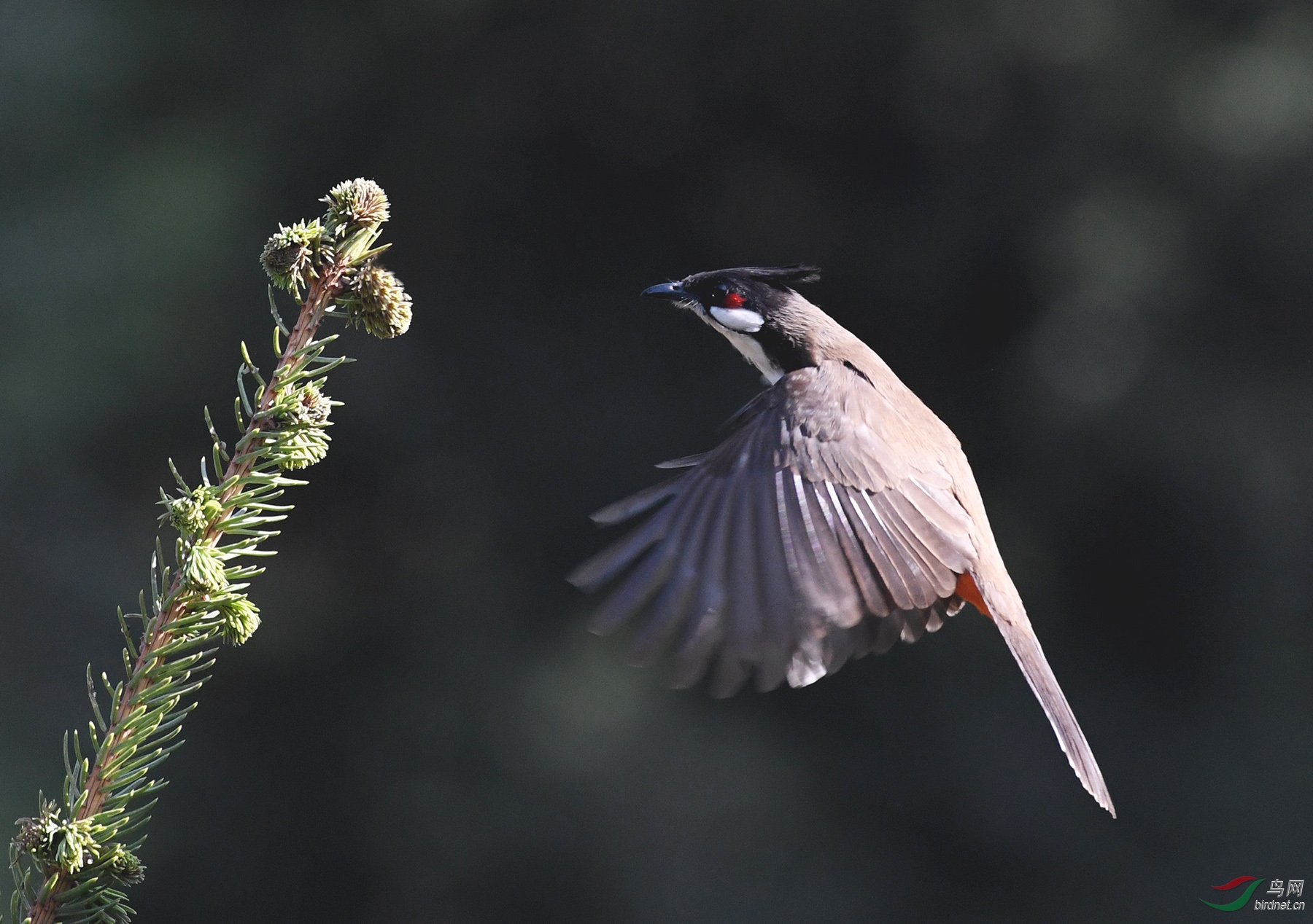 ������Ӱ 482����.jpg