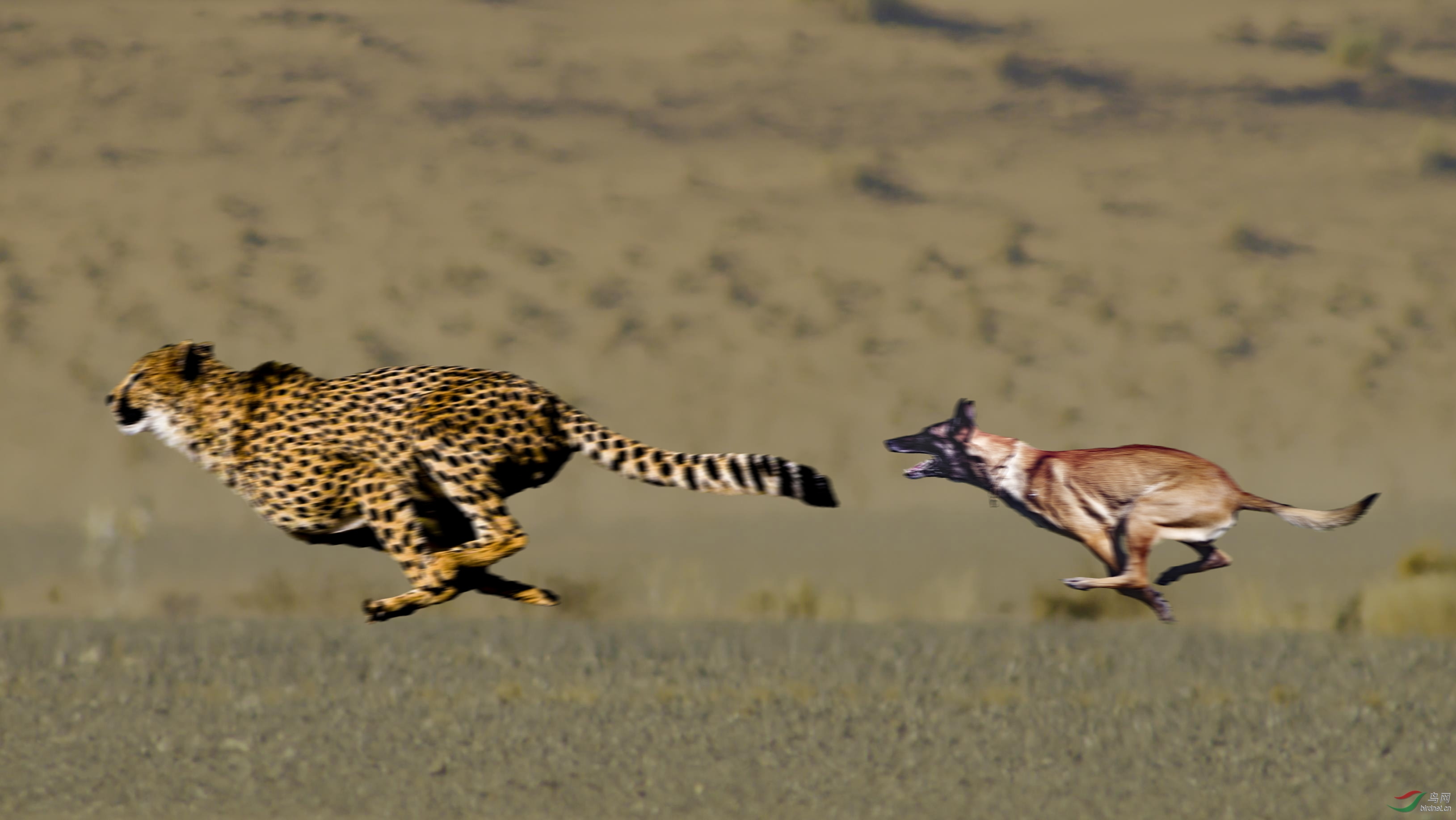 ����ƽ����Ȯ�� 500k.jpg