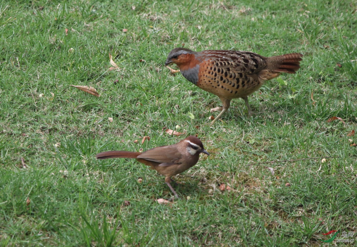 IMG_9447.JPG