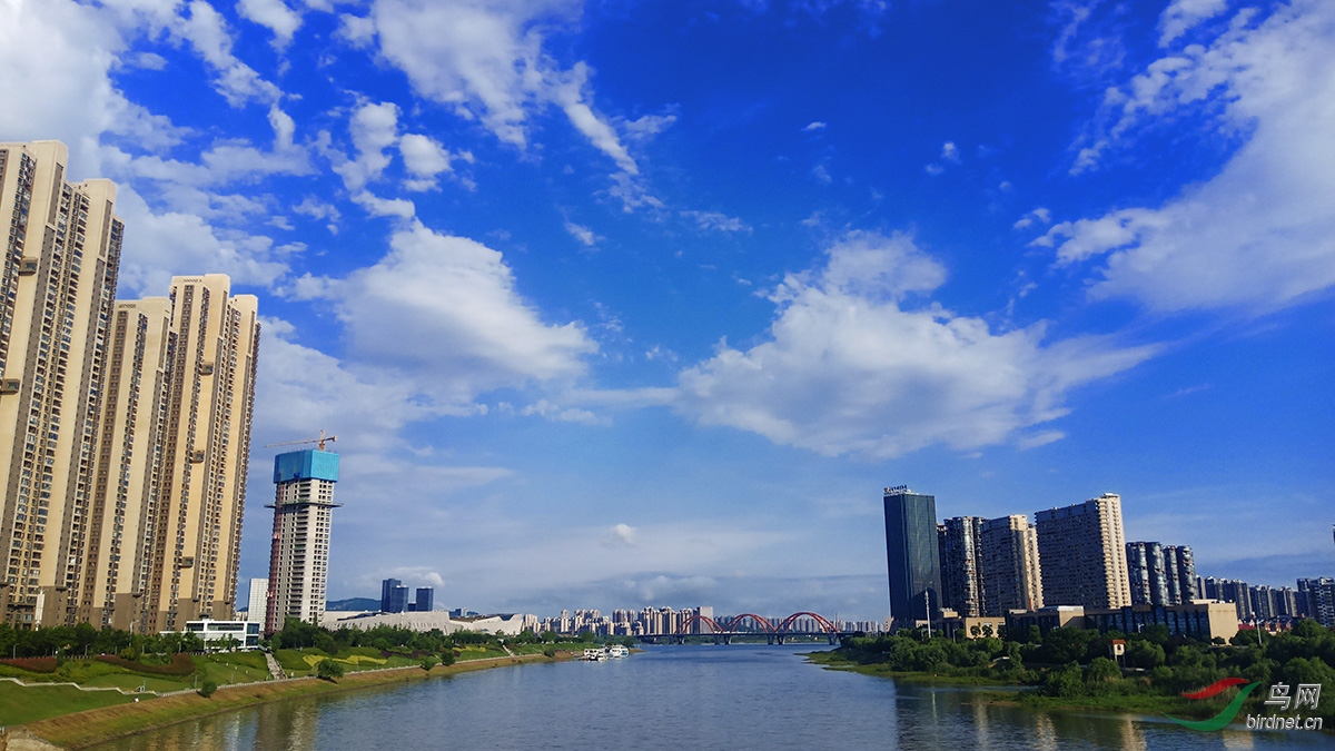 手机随拍-城市天空