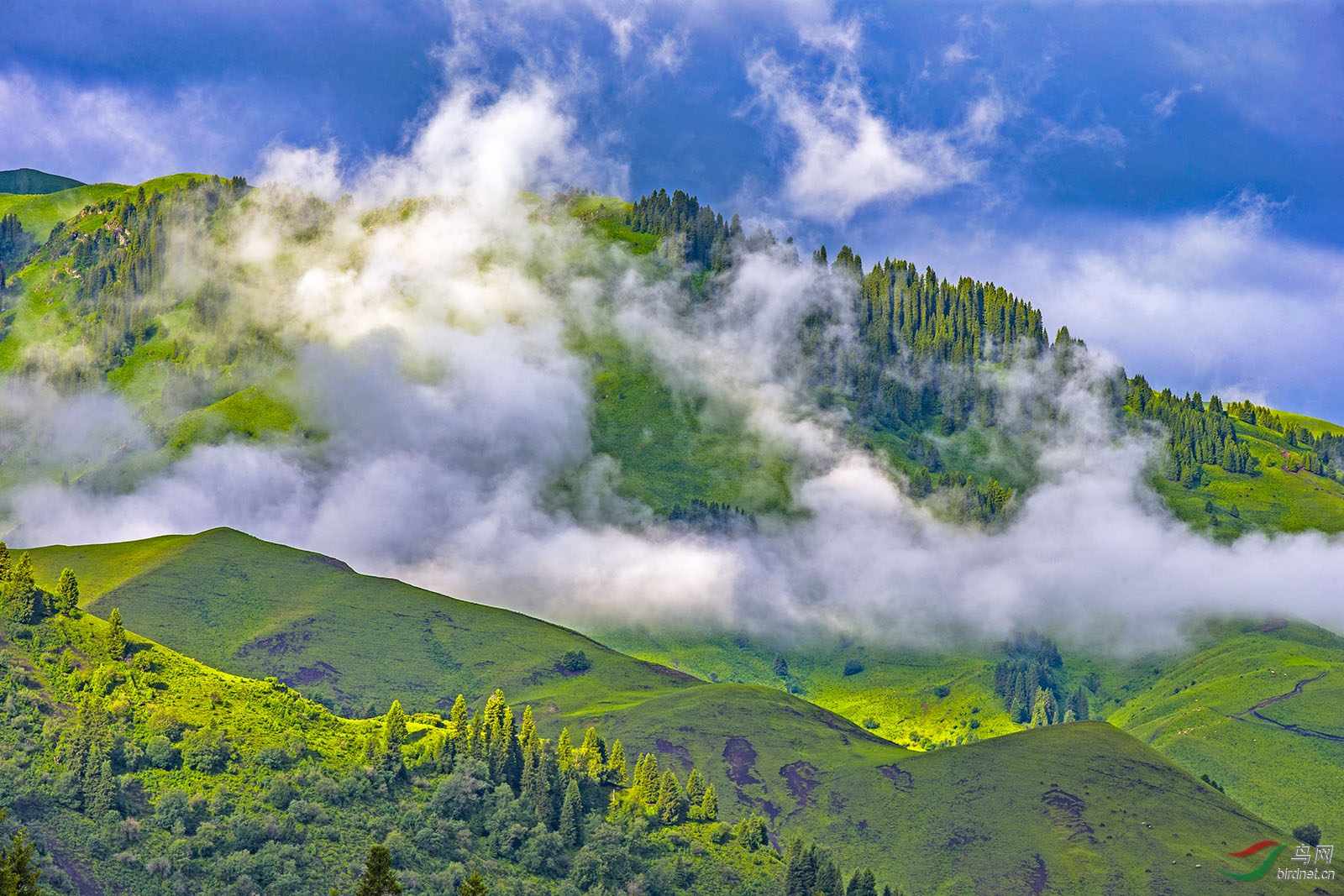 新疆尼勒克百里画廊