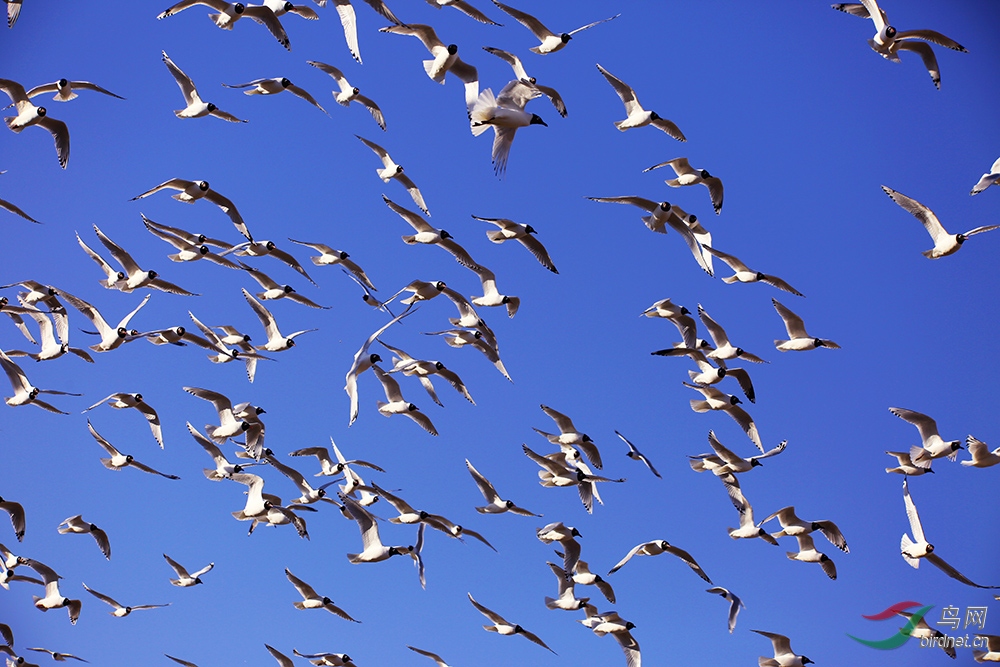FR5A2442.jpg