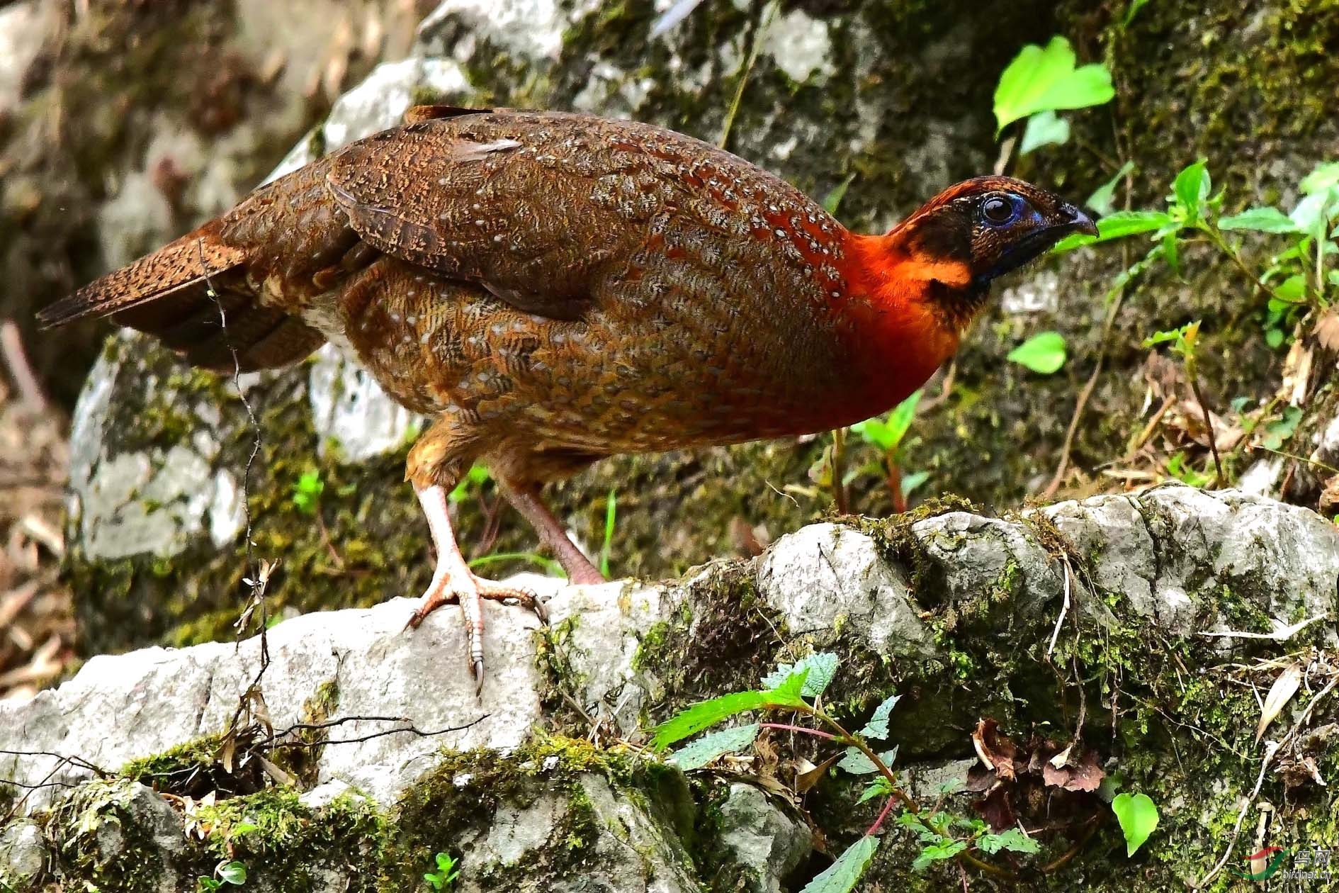 DSC_6511_����.jpg