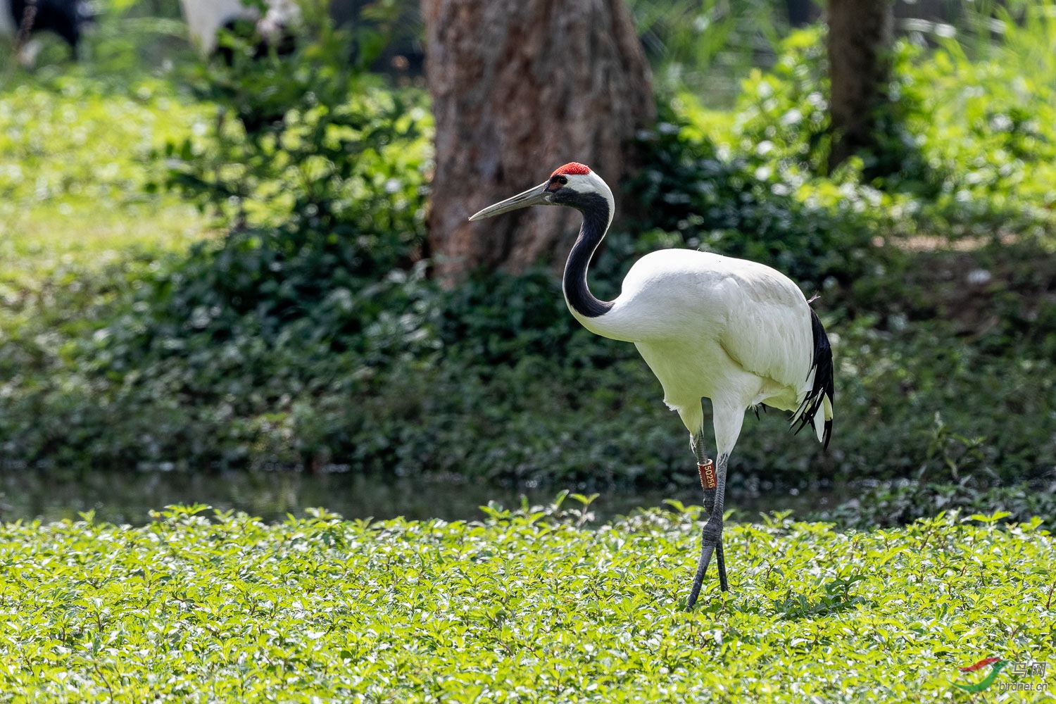 IMG_8893_DxO.jpg