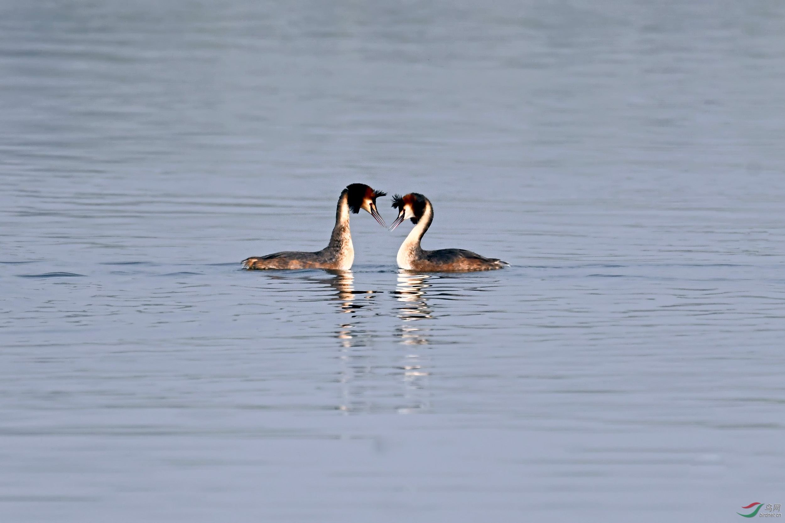 DSC_1490.jpg