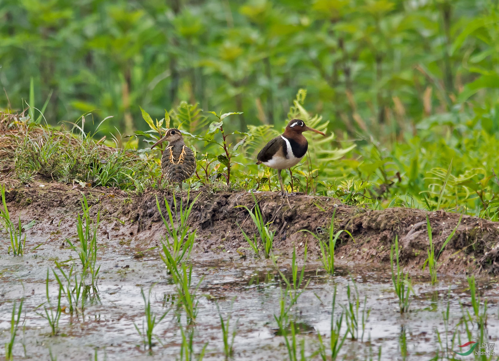 DSC_3136.jpg
