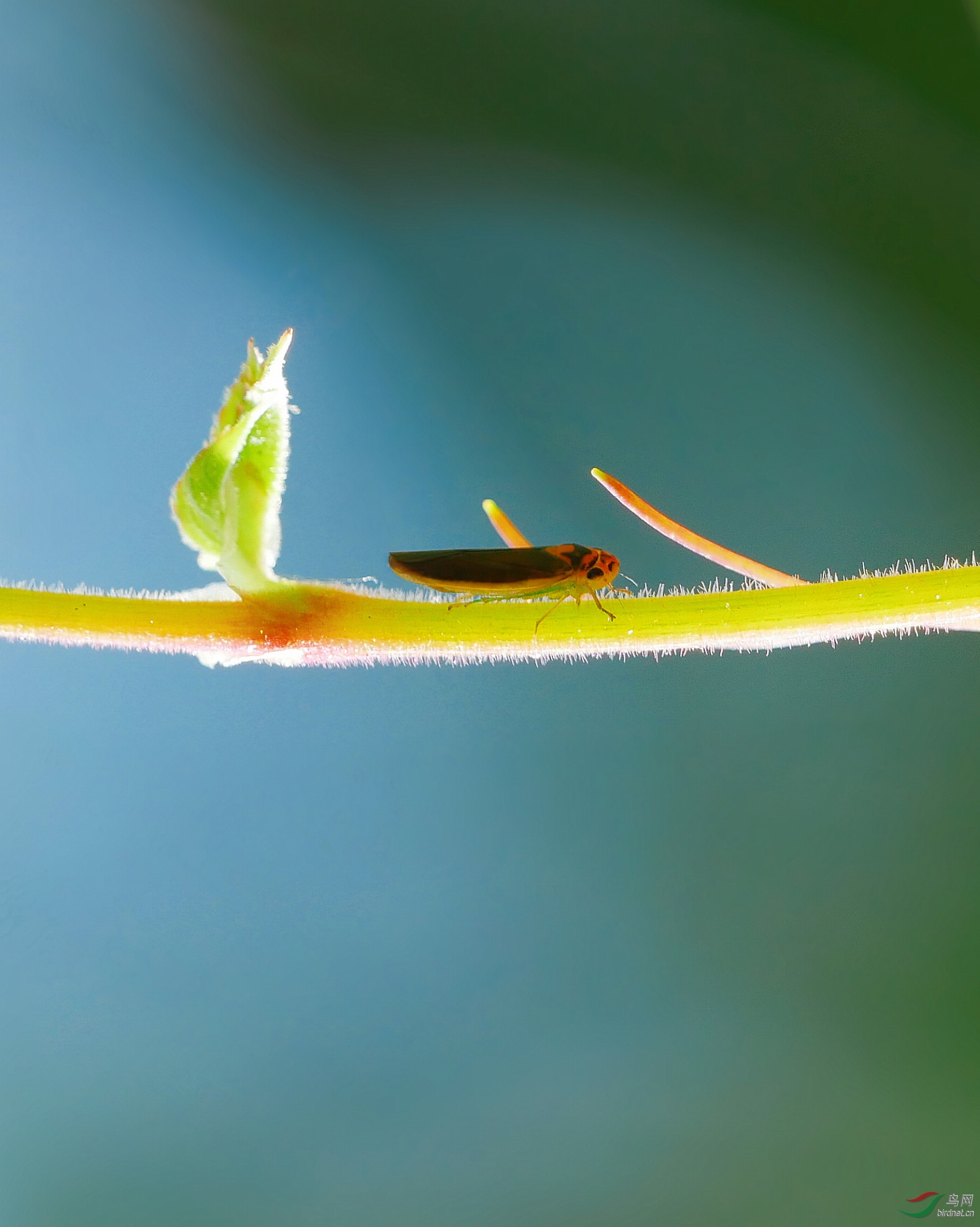 202036.ͬһ���治ͬ���ӽ�