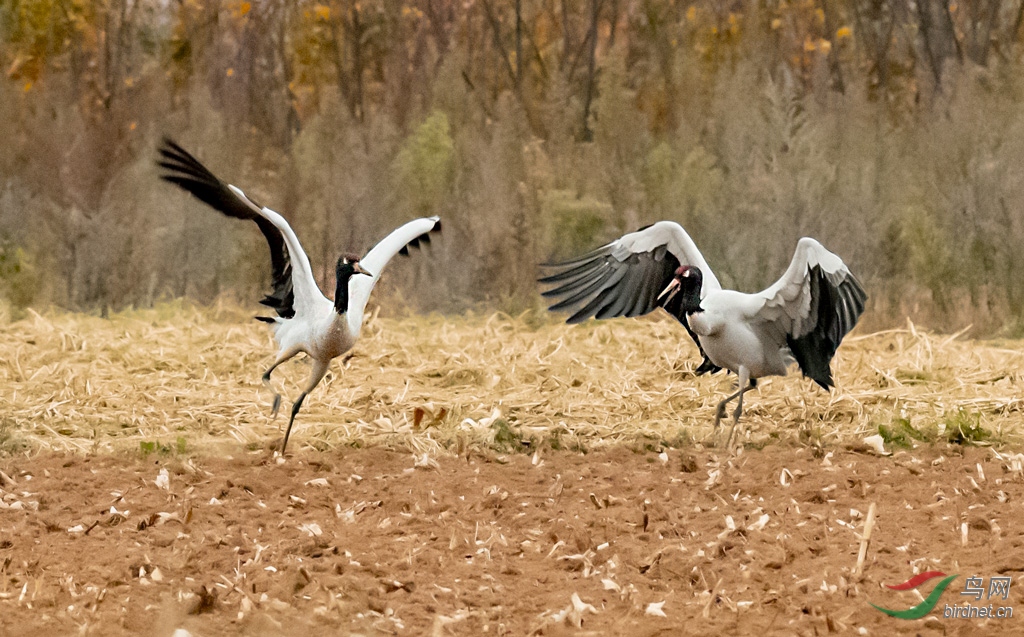 DSC_7735-0.jpg