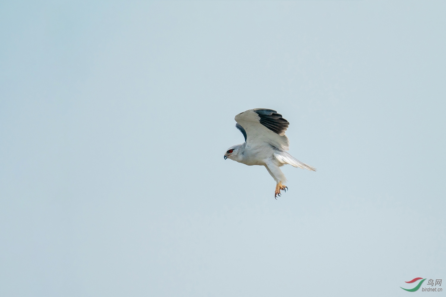 A9D04962a.jpg