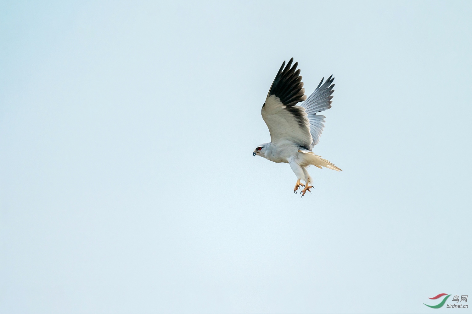 A9D04968a.jpg