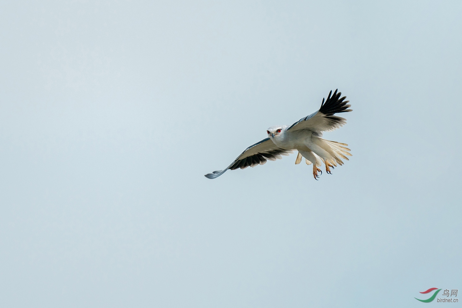 A9D04982a.jpg