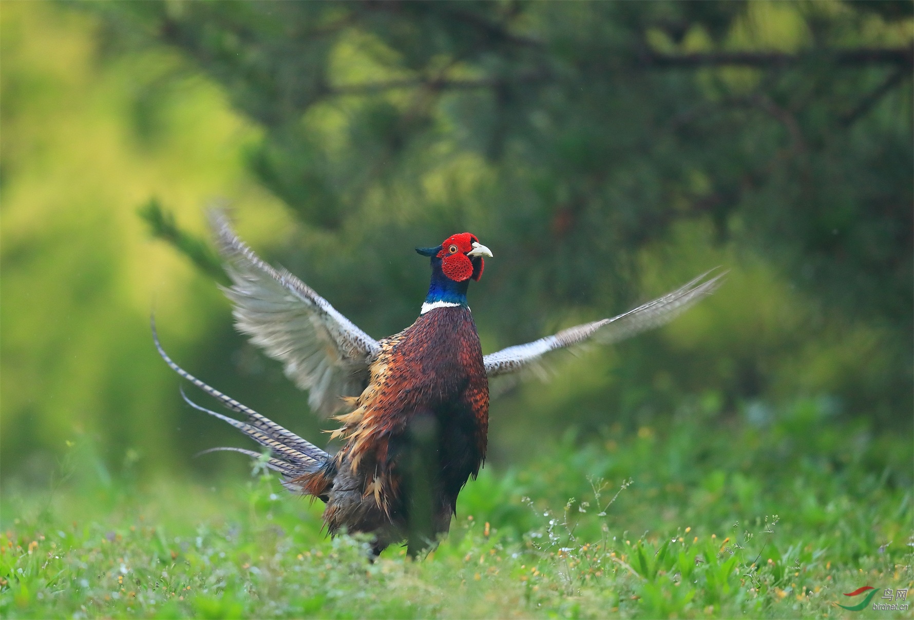 1 - ����.JPG