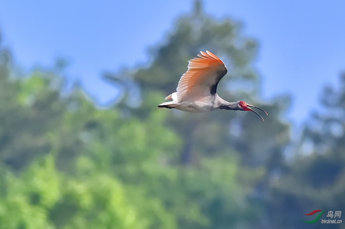 DSC_2533.JPG
