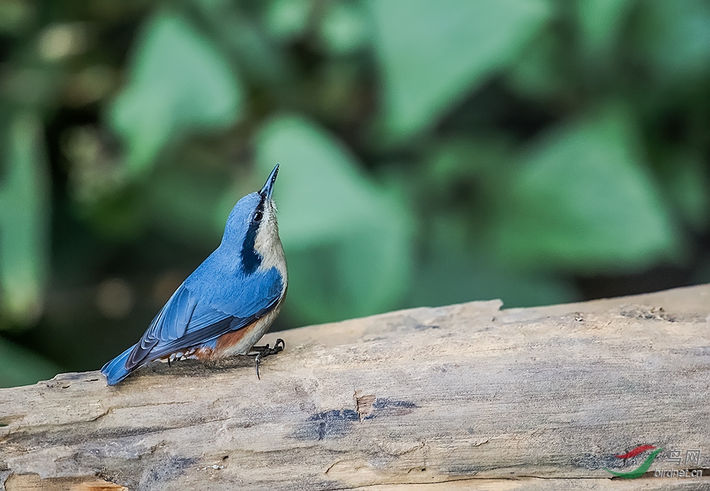 _DSC9658.jpg